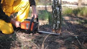 Best Aeration Services  in Las Flores, CA
